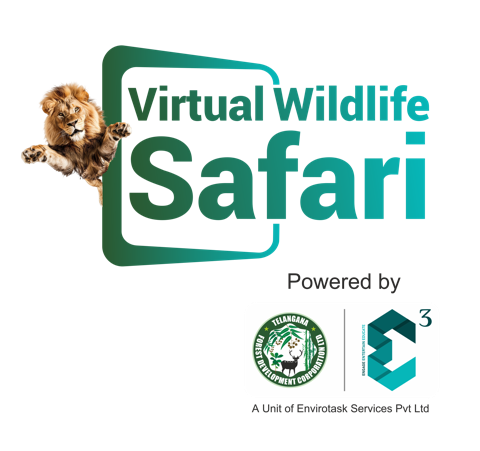 Virtual Wildlife Safari logo